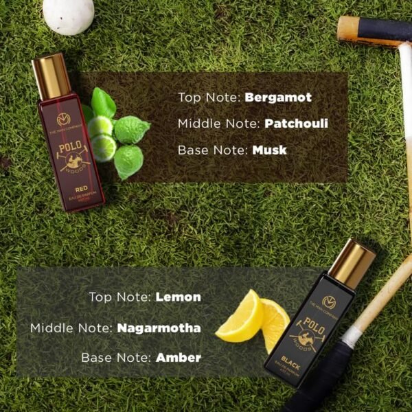 The Man Company Specially Curated Perfume Gift Set For Men, Spray - 4X20Ml - Polo Woods Collection | Premium Long-Lasting Fragrance | Luxury Eau De Parfum | Gift Set For Him - Image 3
